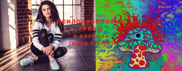 индика Навашино