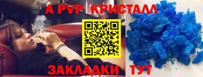 a pvp Дубна