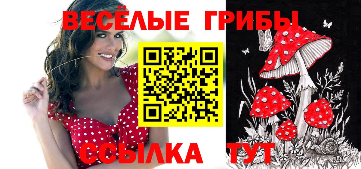 Псилоцибиновые грибы Psilocybine cubensis  Вход с VPN  Томск 