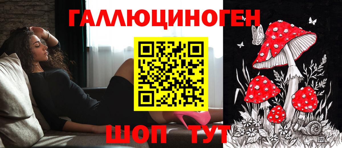 Галлюциногенные грибы Psilocybe Томск