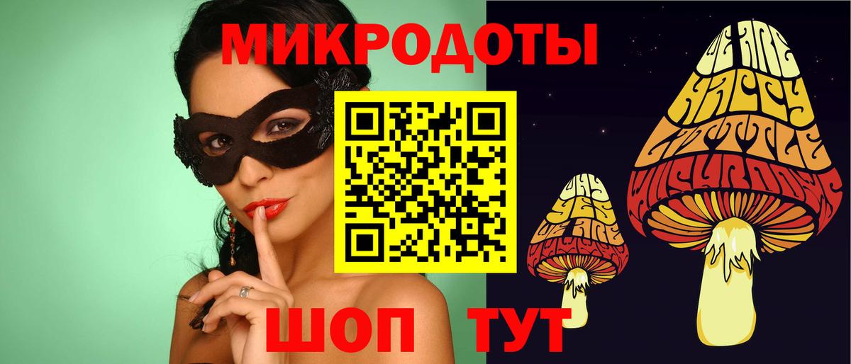 Галлюциногенные грибы Cubensis Томск