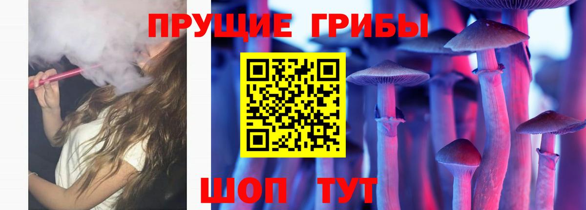 Псилоцибиновые грибы Psilocybine cubensis  где купить наркоту  Томск 